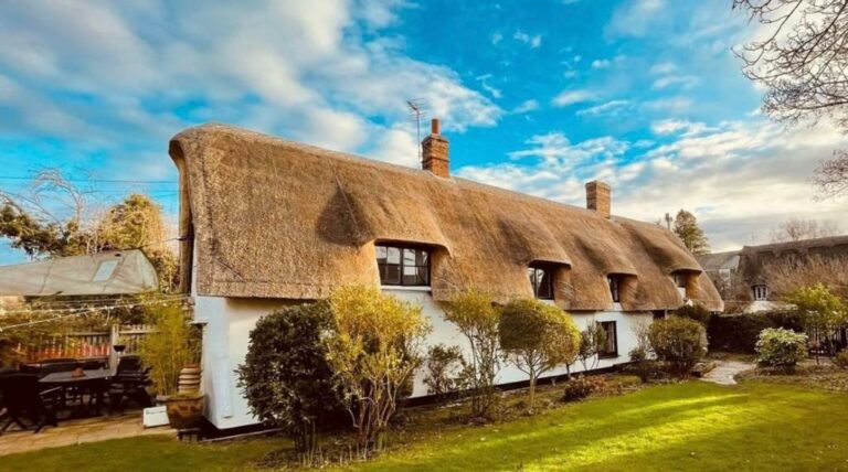 Case Study - Simply Thatch