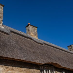 Simply Thatch Header